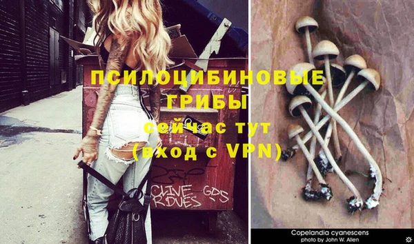 гидропоника Володарск