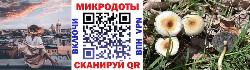 кракен онион  Видное  Псилоцибиновые грибы мицелий 